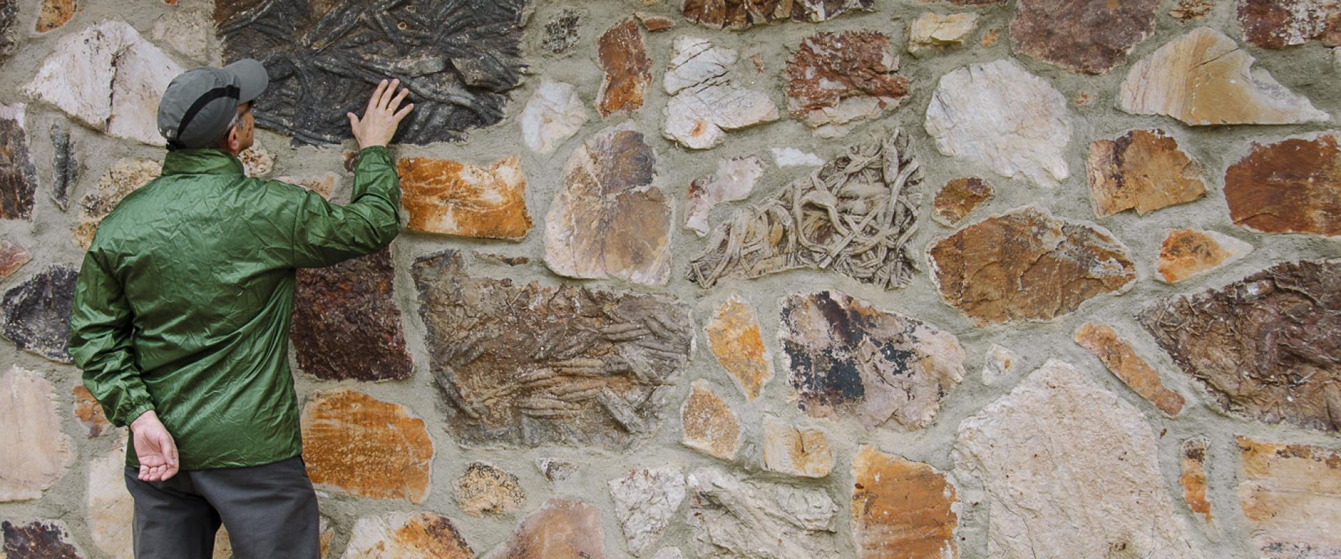 La ruta de las huellas fósiles: Un paseo por los mares antiguos de Monsagro.