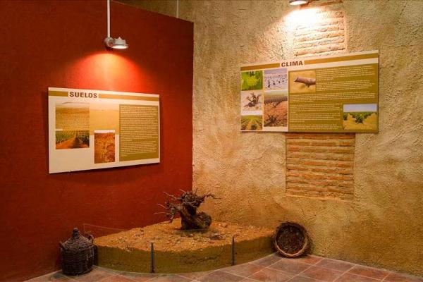 Interpretative Tutorial of the wine of the Tierra del Vino and  La Armuña (in Parada de Rubiales)