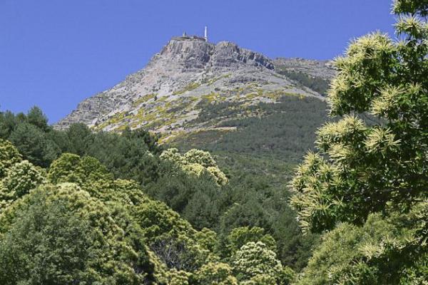 Sierra de Francia